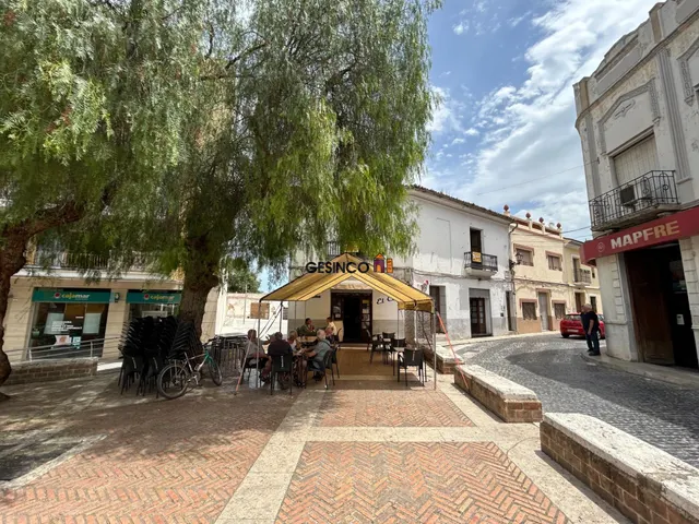 VIVIENDA CON LOCAL COMERCIAL EN CHAFLÁN — 2