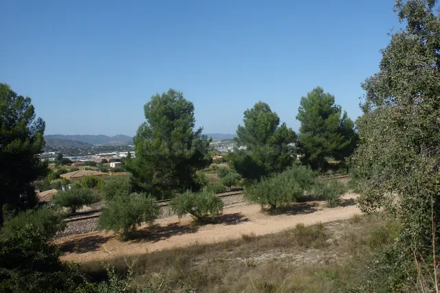 Finca La Farola Ontinyent - foto 5