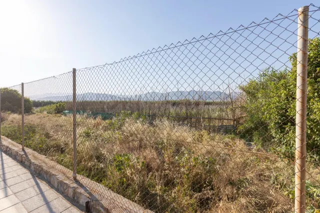 Invierte en el futuro de Playa Granada: una oportunidad únic - foto 3