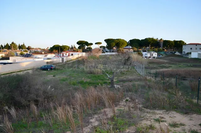 TU SUEÑO EMPIEZA AQUÍ: AMPLIA PARCELA EN EL PINAR DE LOS FRA