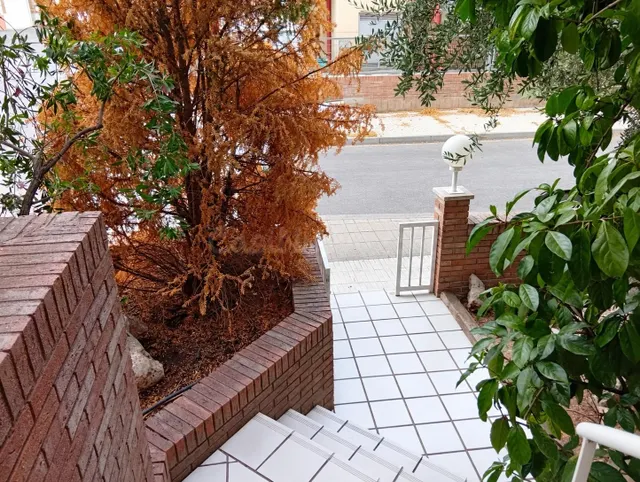 CASA ADOSADA CON TERRAZAS Y GARAJE EN BENAVENT DE SEGRIÀ - foto 3