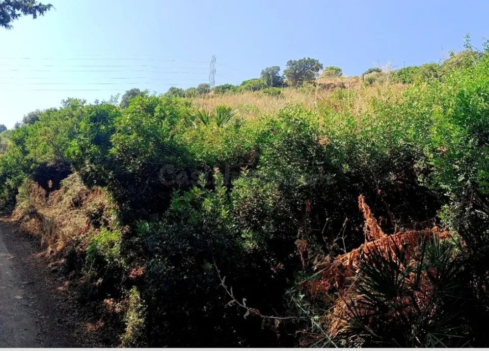Parcela de 21.000 m2 en Estepona para proyectos únicos