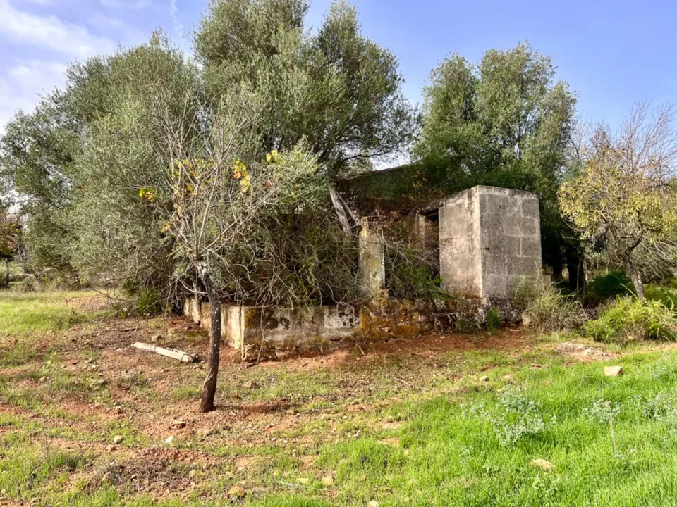 Finca rústica Campanet