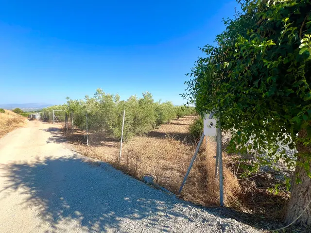 ALBOLOTE - PANTANO CUBILLAS — 15