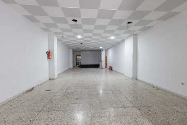 Local comercial junto avda. dilar, zaidin — 8
