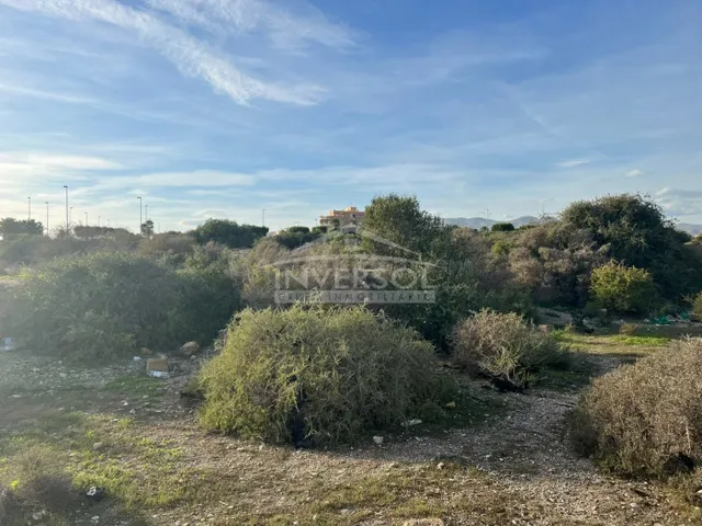 TERRENO URBANIZABLE EN EL EJIDO - foto 5