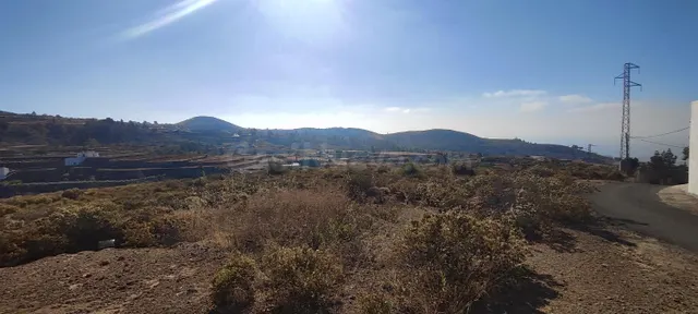FINCA AGRÍCOLA EN GRANADILLA DE ABONA. - foto 4
