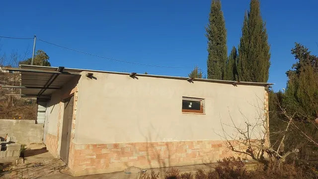 TERRENO RÚSTICO CON PLANTACIÓN FRUTAL Y ALMACÉN - foto 2