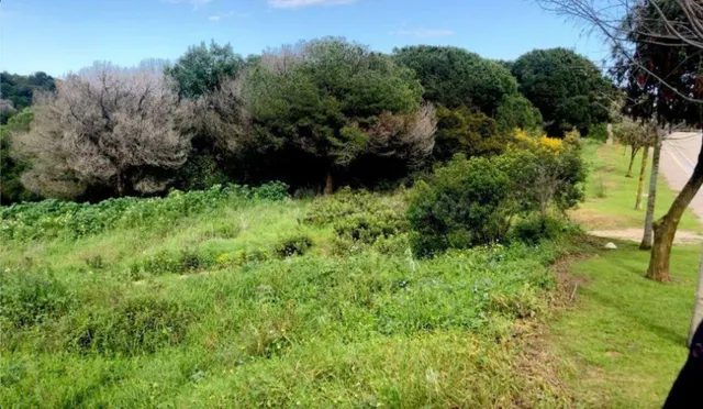 Parcela en venta - Sotogrande - Alto - foto 4