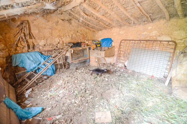 Urbis te ofrece una casa con terreno en venta en Doñinos de Salamanca, Salamanca. — 13