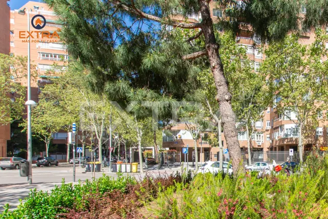 ESPECTACULAR LOCAL COMERCIAL con RENTABILIDAD del 6% en Prosperidad — 4