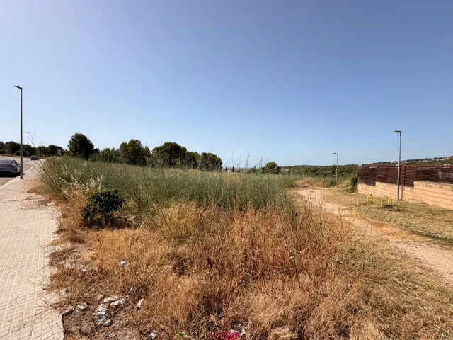 PARCELA EN VENTA EN LAS PEDRERES SANTA OLIVA - foto 5