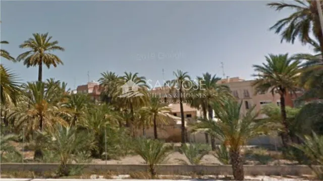 SOLAR PARA CONSTRUCCION CON VISTAS HUERTO DE PALMERAS, ELCHE - foto 2