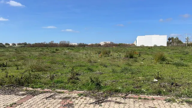 Terreno industrial en venta - El Juncal - Vallealto