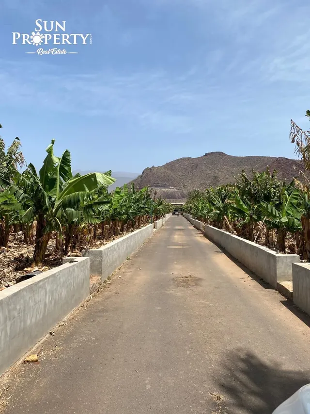 FINCA ECOLÓGICA CON GRAN CASA Y ALTO POTENCIAL DE INVERSIÓN — 27