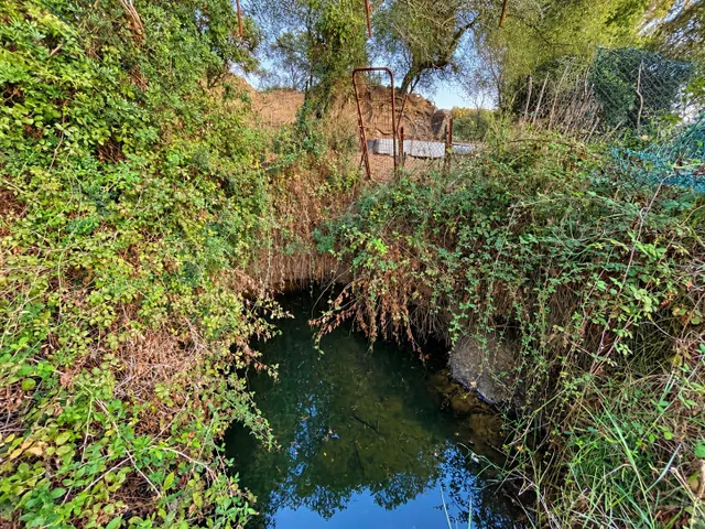 Finca rústica de 18.444 m2 con pozo y construcción catastrada en Alcalá de los Gazule — 21