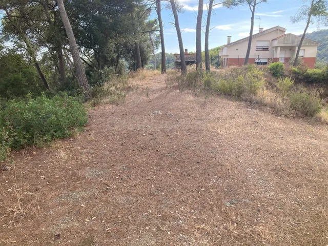 2 SOLARES EDIFICABLES EN VENTA EN SANTA SUSANNA - foto 4