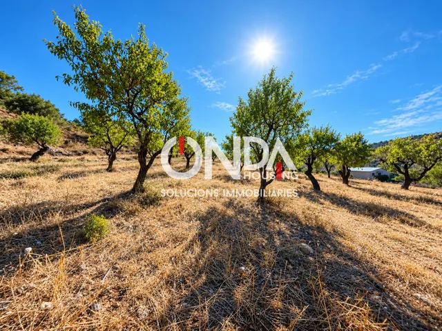 Finca rústica de 29.534 m2 con edificación de 314 m2 y pozo en Seixols, Tremp — 9