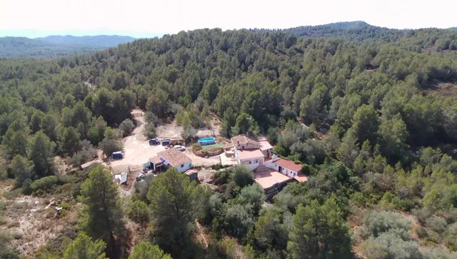Exclusiva finca rústica de 350.000 m2 en Tivissa, a 10 km de - foto 2
