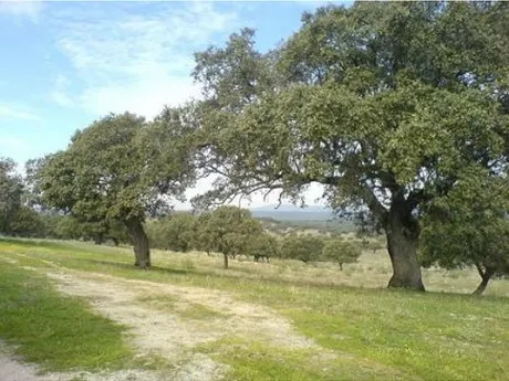 Finca rústica 999999m² en venta - Badajoz