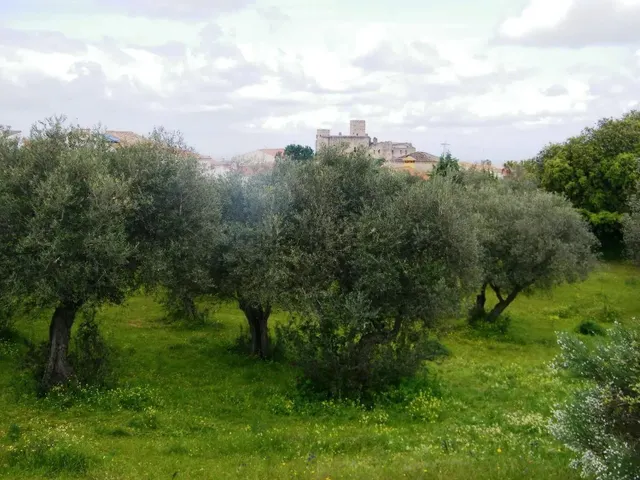 Solar urbano de 5.347 m2 para 16 chalets junto al Pantano de Valdecañas — 8