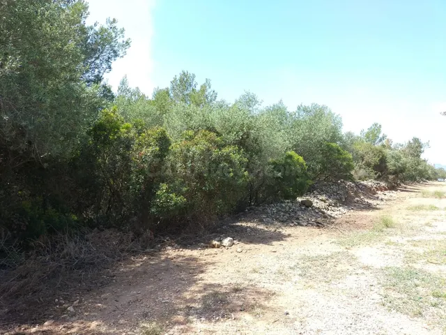 CASA EN PIÑOR - foto 3
