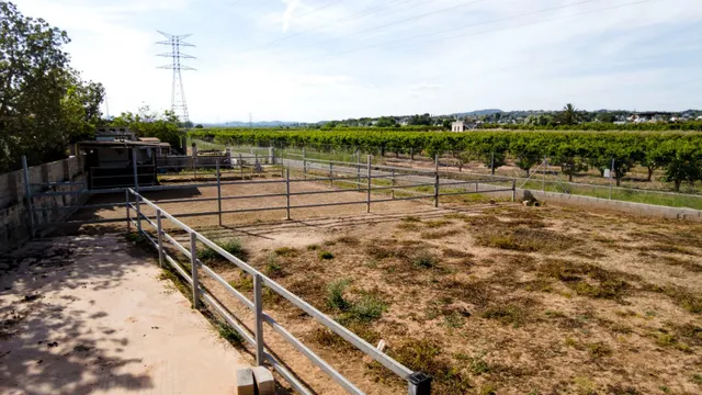 Rancho en Carlet — 22