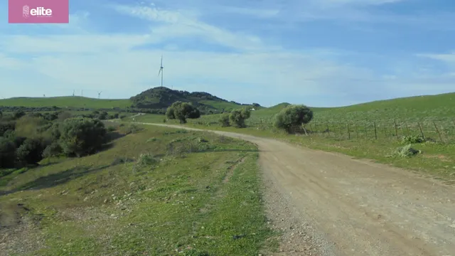 MAGNIFICA DEHESA EN ALCALA DE LOS GAZULES — 2