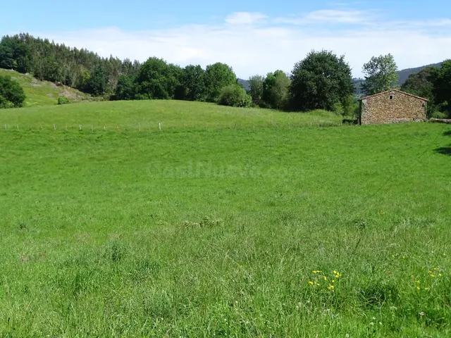 Cabaña en finca de 11.000 m2, accesible y bien conectada - foto 5