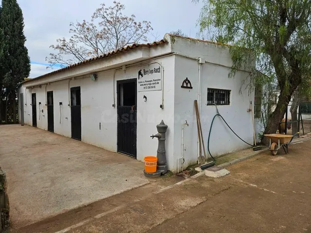 Finca de Caballos Orihuela - foto 4
