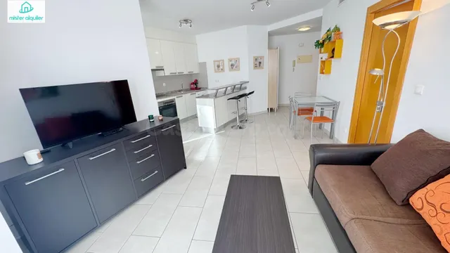 APARTAMENTO CON GRAN TERRAZA EN PLAYA DE MUCHAVISTA, A UN PA - foto 3