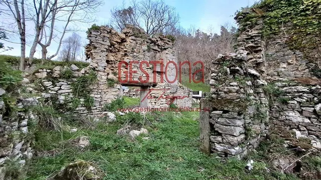 CASA Y CABAÑA PARA REHABILITAR. SOLORZANO — 23