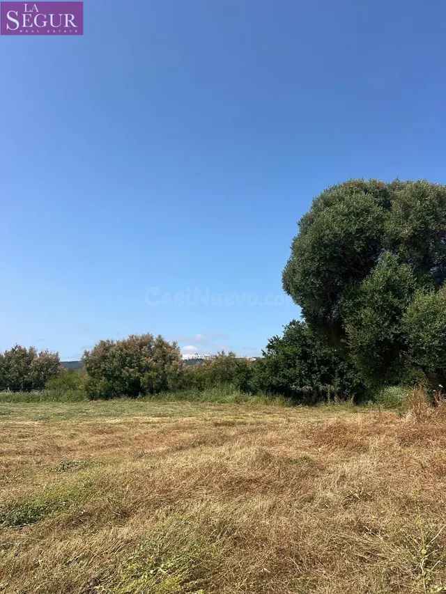 TERRENO CON CASITA PARA REFORMAR EN LA PARTE BAJA DE ABEJARU - foto 3