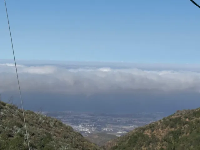 CAZADORES TELDE GRAN CANARIA (LAS PALMAS) — 6