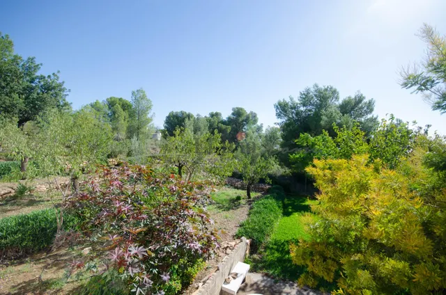 Ref. 04407.- Chalet con dos viviendas independientes, piscina y amplia parcela en Corral de Papel – Llíria — 48