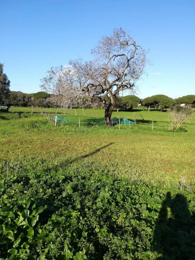 Casa de campo entorno rústico — 3
