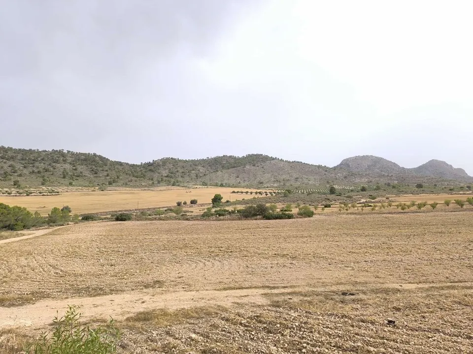 Parcela 200m² en venta - Ayuntamiento