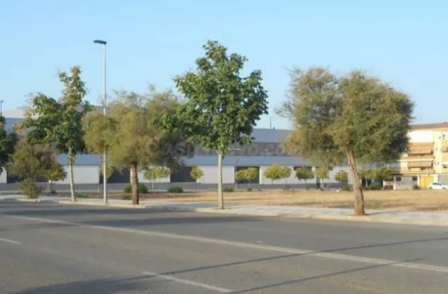 Se venden dos parcelas de 18553 m2 en Andújar - foto 4