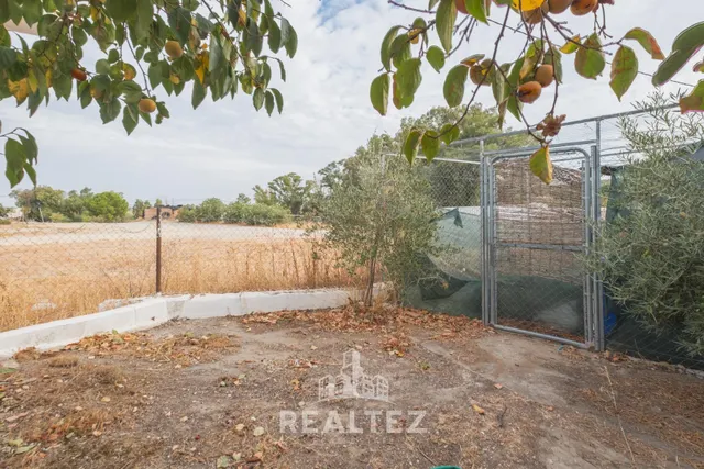 Venta Las Flores – A 2 km del Circuito de Jerez — 36