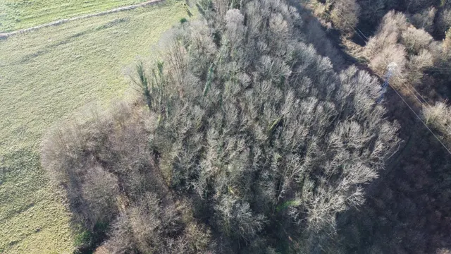 Oportunidad real: casa con parcela para rehabilitar en Tineo — 31
