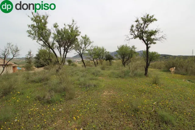 FINCA EN CORTIJO SAN JERÓNIMO (BARTODANO) — 13