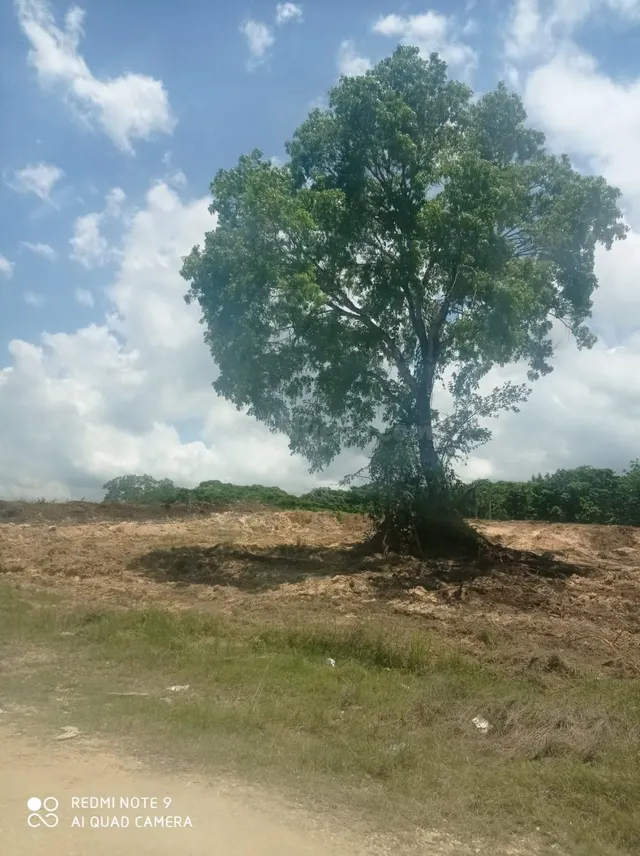 RESIDENCIAL PRADOS DE MARAÑON - foto 2