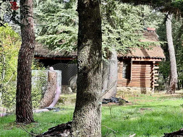 Cabaña de 75m2 rodeada de un precioso bosque en terreno urbano no consolidado de 10.117m2. — 7
