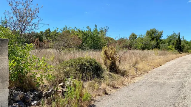 PARCELA DE TERRENO URBANO CON UNA SUPERFICIE DE 2.404 M2 EN  - foto 4