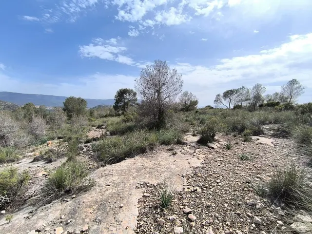 Parcela 999m² en venta - Ayuntamiento — 6