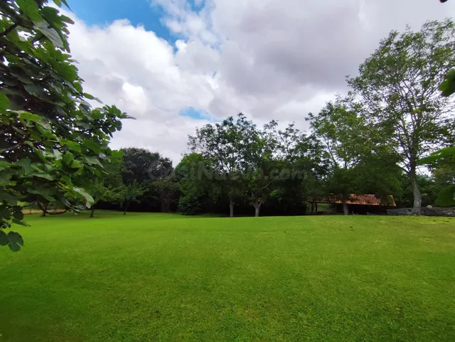 Casa independiente con mas de 2.000m2 de terreno - foto 5