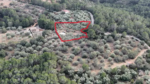 Una oportunidad única para los amantes de la naturaleza - foto 3