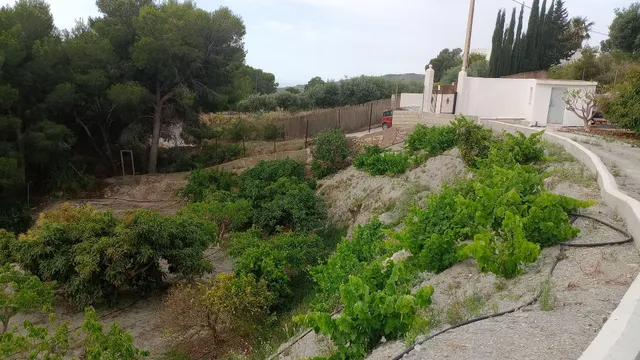 Cortijo en Molvizar — 22