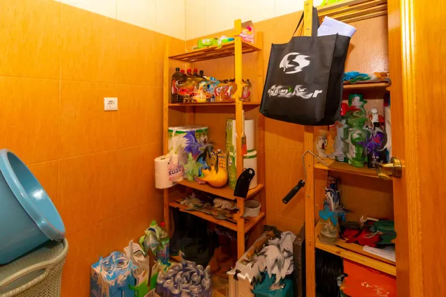 Casa en la banasta — 29