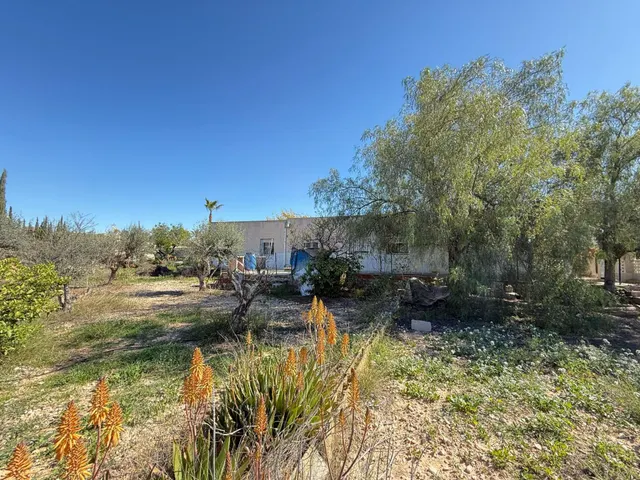 Encantador Chalet en Crevillente con Amplio Terreno y Piscina Propia — 22